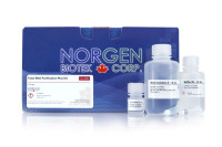 48300 Total RNA Purification Plus Kit ( 50 rxn )